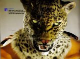 BUY NEW tekken - 45661 Premium Anime Print Poster